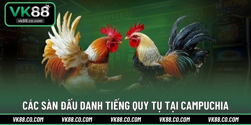 Các sàn đấu danh tiếng quy tụ tại Campuchia