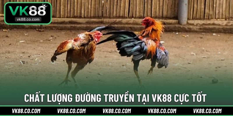 Chất lượng đường truyền tại VK88 cực tốt 