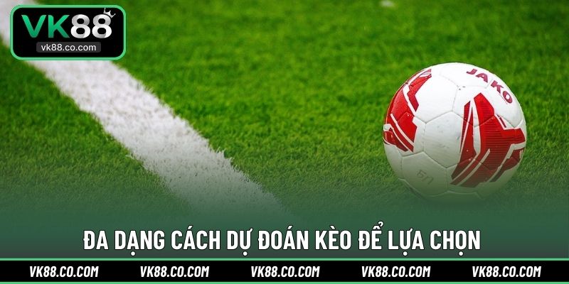 Đa dạng cách dự đoán kèo để lựa chọn 